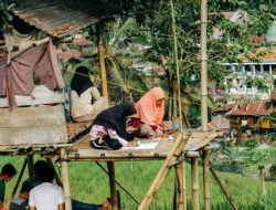 Manfaat Kursus Daring untuk Kemajuan Karier