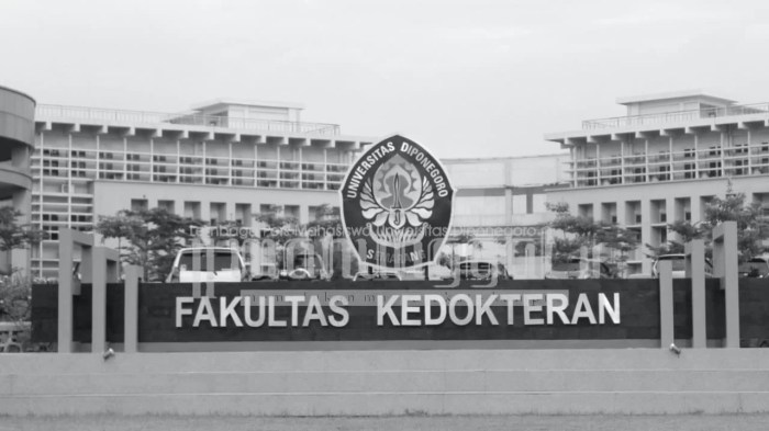 Pendidikan dokter dan kedokteran