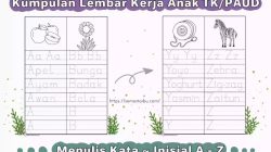 Cara Efektif Mengembangkan Keterampilan Menulis pada Anak