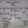 Teknik Concept Mapping: Merangkum Konsep Secara Efektif