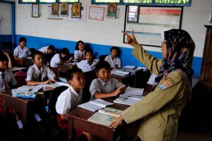 Jelaskan program pemerintah dalam bidang pendidikan
