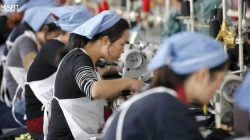 Tenaga Kerja Tak Terdidik dan Tak Terlatih: Tantangan dan Peluang