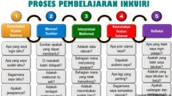 Strategi Peer Tutoring untuk Kolaborasi yang Efektif
