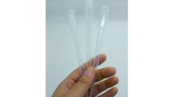 Cara memberi makan daphnia magna