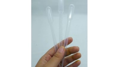Cara memberi makan daphnia magna