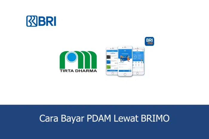 Cara bayar pdam lewat brimo