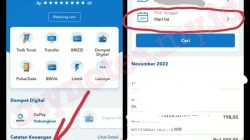 Cara Mudah Mengecek Rekening BRI