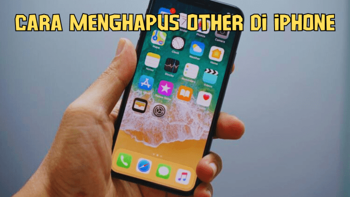 Cara membersihkan other di iphone