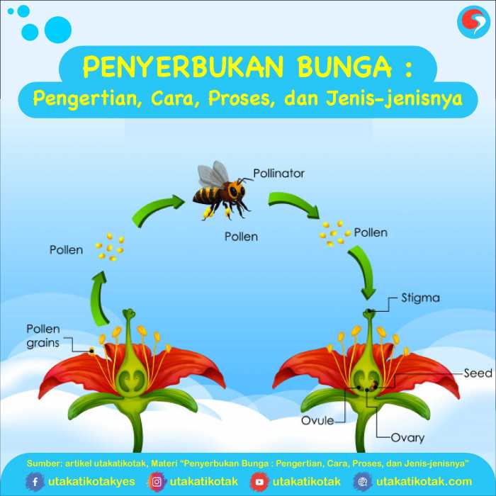 Gambar bunga dan cara penyerbukan
