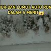 Cara Mudah Membersihkan Tembok Berlumut Agar Kinclong