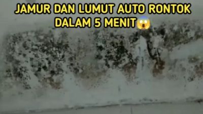 Cara membersihkan tembok berlumut