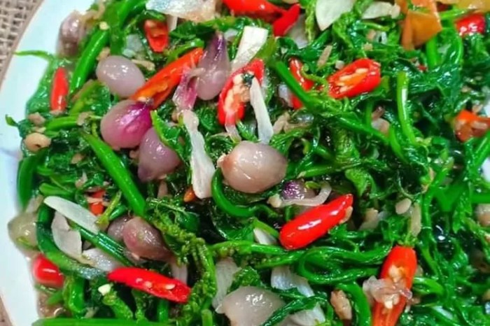 Cara membuat sayur paku tumis