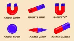 Cara Menentukan Jenis Kutub Magnet dengan Mudah