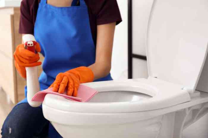 Cara membersihkan toilet mampet