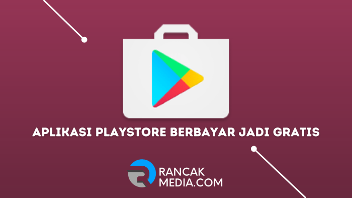 Cara dapatkan play store