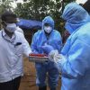 Cara Penularan Virus Nipah: Dari Kelelawar ke Manusia