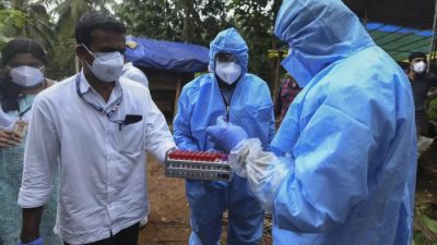 Cara Penularan Virus Nipah: Dari Kelelawar ke Manusia
