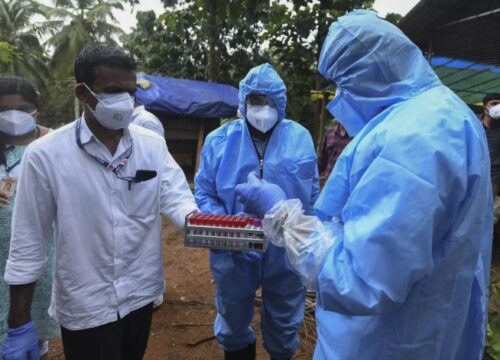 Cara Penularan Virus Nipah: Dari Kelelawar ke Manusia