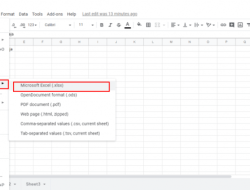 Cara Hilangkan Password di Excel: Panduan Langkah Demi Langkah