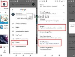 Cara Update WhatsApp Tanpa Play Store: Panduan Lengkap