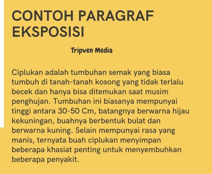 Contoh teks eksposisi tentang pendidikan