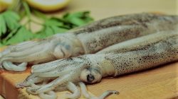 Rahasia Memasak Cumi yang Empuk dan Lezat