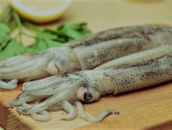 Rahasia Memasak Cumi yang Empuk dan Lezat