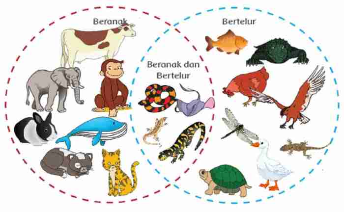 Kesemek berkembang biak dengan cara