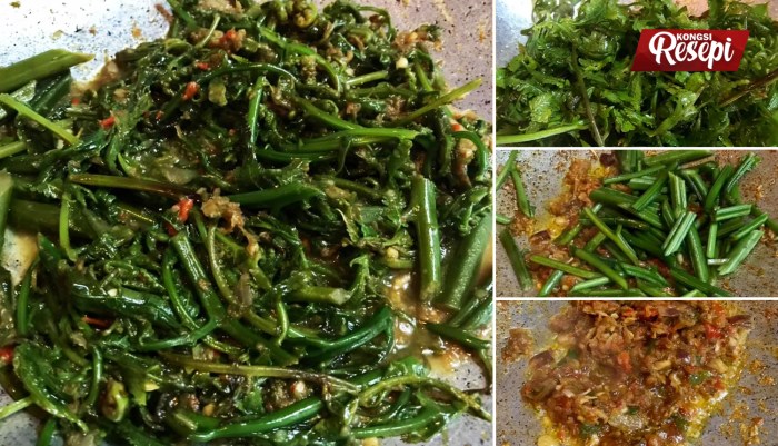 Sayur pakis resep tumis