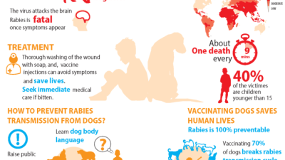 Cara penularan rabies dari manusia ke manusia