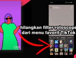 Cara Mudah Hilangkan Filter Rotoscope TikTok