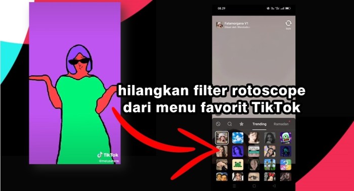 Cara menghilangkan filter rotoscope tiktok
