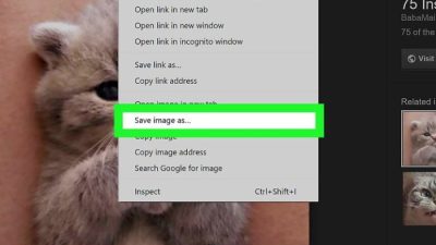 Cara Mudah Download Gambar di Google Laptop