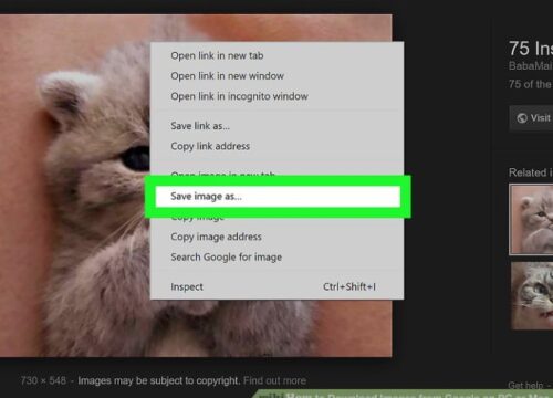 Cara Mudah Download Gambar di Google Laptop