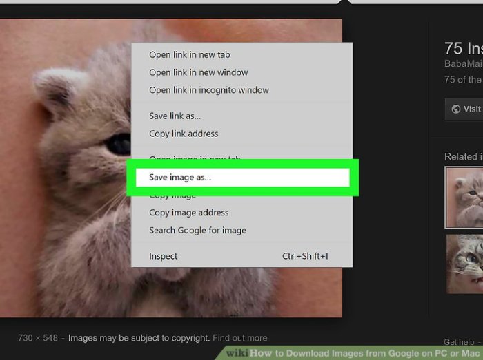 Cara download gambar di google laptop