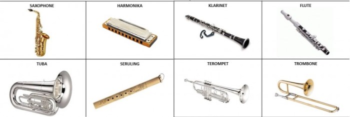 Alat musik yang dimainkan dengan cara di tiup