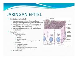 Cara Mengobati Sel Epitel: Panduan Komprehensif