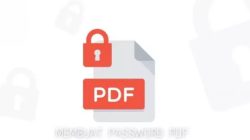 Cara Mudah Hapus Password PDF