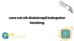 Cara cek nik disdukcapil kabupaten bandung