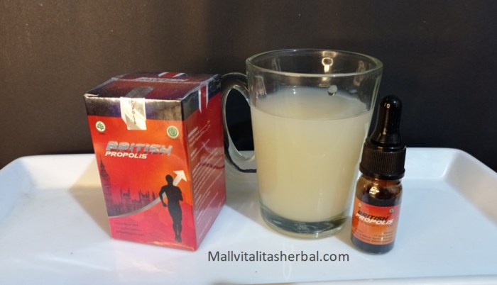 Cara kerja british propolis
