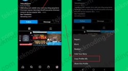 Cara Mudah Melihat Link URL Instagram Kita