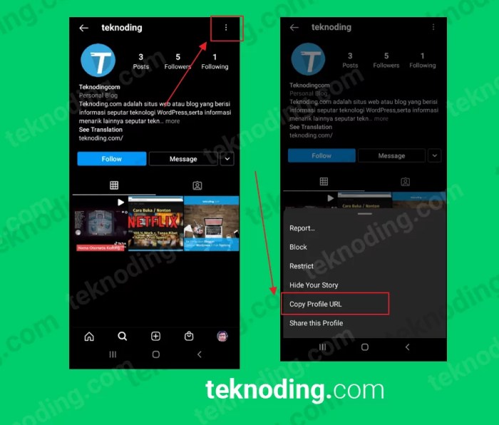 Cara melihat link url instagram kita