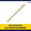 Cara Memainkan Rekorder: Panduan Langkah demi Langkah