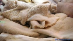 Cara Cepat Membersihkan Babat Sapi Tanpa Repot