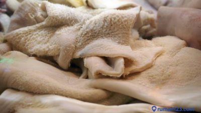 Cara membersihkan babat sapi dengan cepat