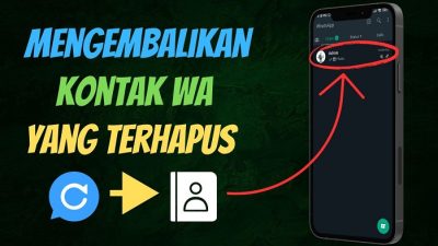 Cara melihat kontak wa yang online