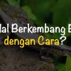 Kedelai: Berkembang Biak dengan Biji dan Beragam Teknik
