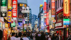 Cara Kerja di Jepang Secara Ilegal: Bahaya Tersembunyi
