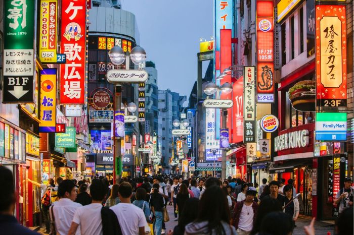 Cara kerja di jepang secara ilegal
