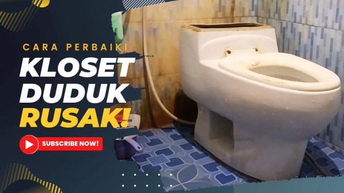 Cara memperbaiki pelampung toilet duduk